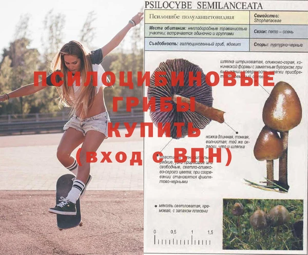 меф Вязьма