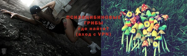 мяу мяу мука Горнозаводск
