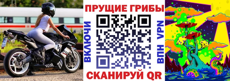 Псилоцибиновые грибы Psilocybine cubensis  Ермолино 